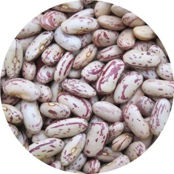 Spotted Red Kidney Beans